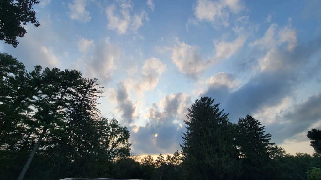 Treetops and open sky at New Melleray Abbey, Iowa.