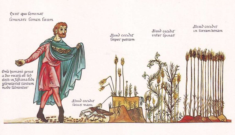 illustration of the parable of the sower